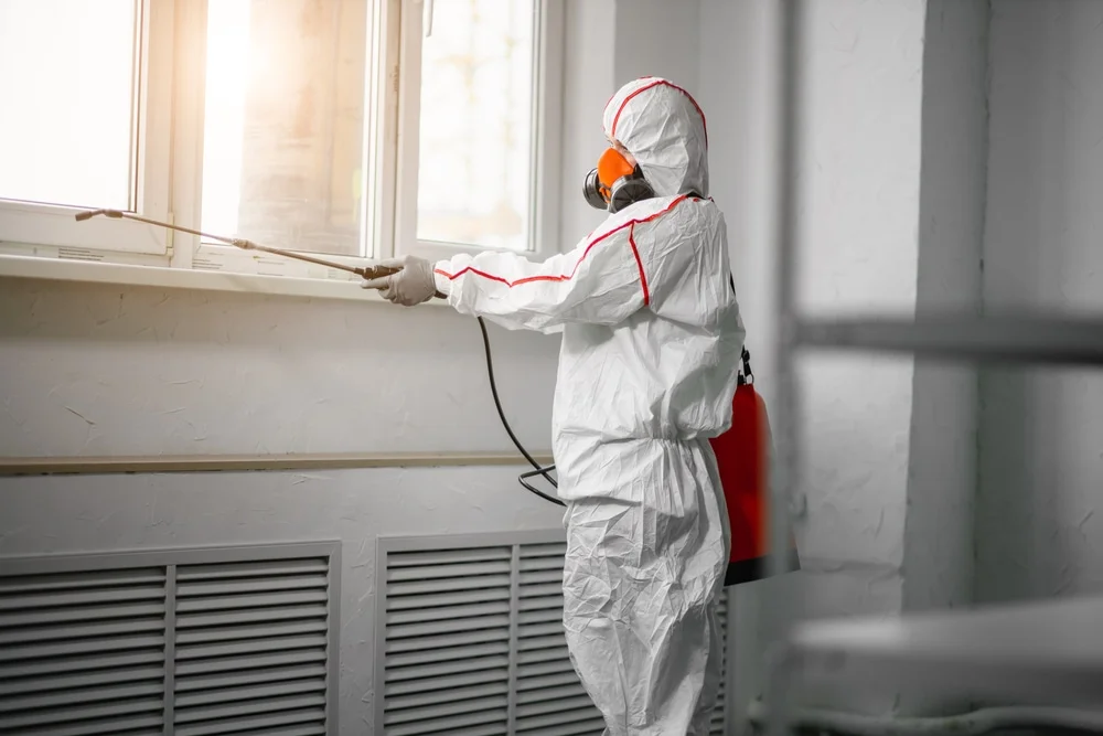 Professional mold remediation services in Orem, UT